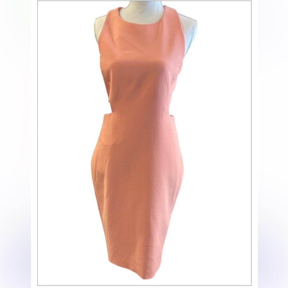NWT ELIZABETH AND JAMES DRESS PHOENIX APRICOT SIZE 10 SLEEVELESS CUTOUT SHEATH